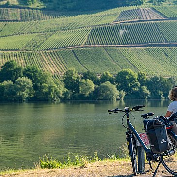 Kurze Pause bei Longuich mit Blick auf die Weinberge