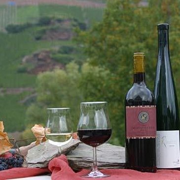 Wein