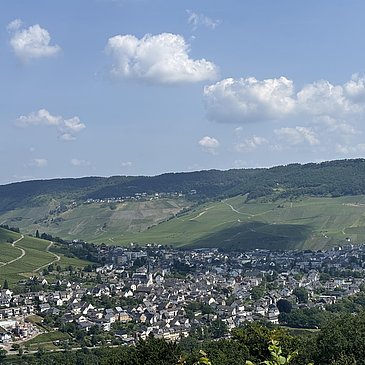 Ausblick von der Schutzütte auf Bernkastel-Kues