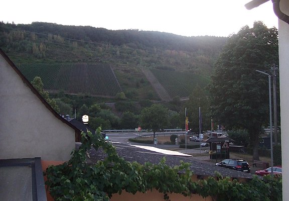 Blick zur Mosel