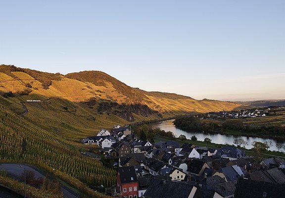 Ürzig an der Mosel