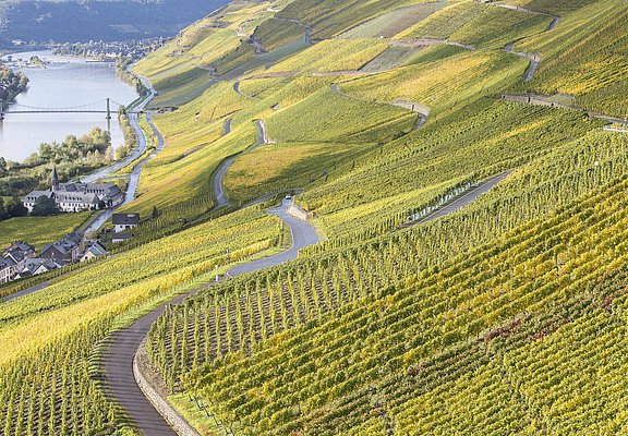 Graacher Weinberge