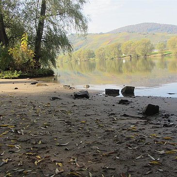 Moselstrand Brauneberg