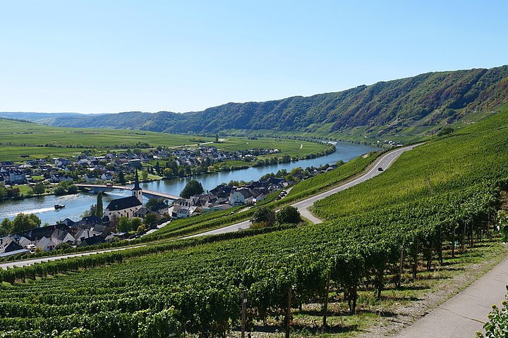 Aussicht auf Piesport an der Mosel