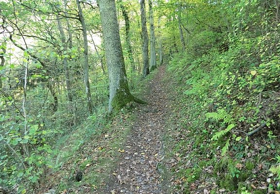 Pfadpassage im Kallenfelstal