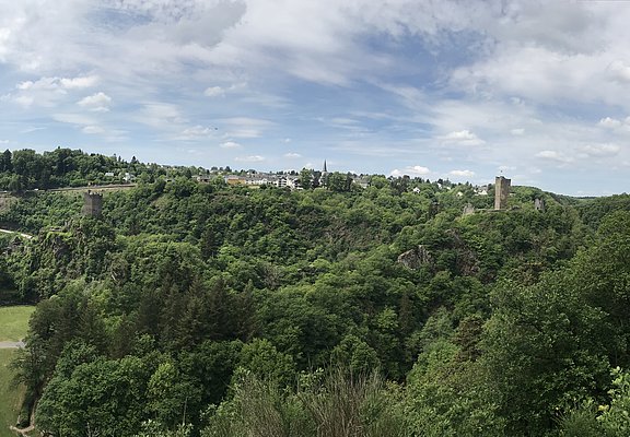 Das Bild zeigt eine grüne Waldlandschaft um die Manderscheider Burgen.