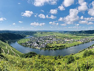IMG_2419