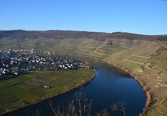 Piesport