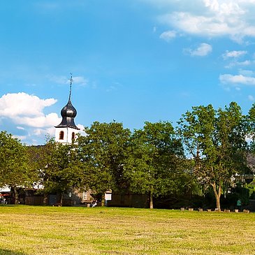 Blick auf die Kirche von Brauneberg