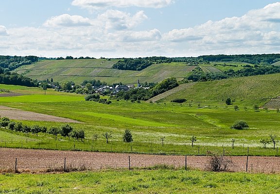 Burgen an der Mittelmosel