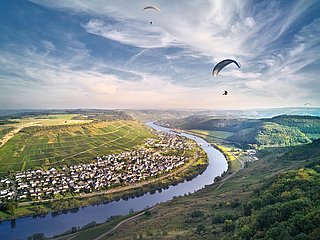 Landschaft Zeltingen-Rachtig