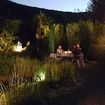Sommernacht im Garten