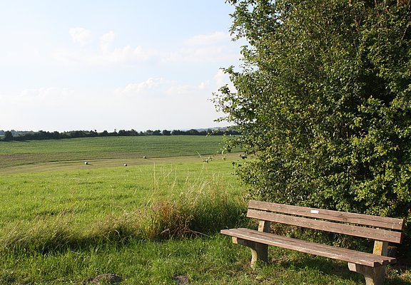 Bank mit Aussicht: Wandern an der Mosel