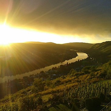 Moselblick