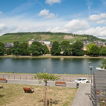 Villa Mosella Mosel-Blick von Balkon