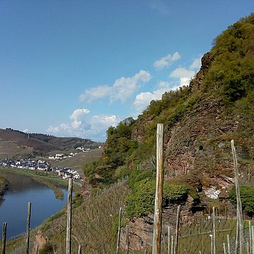 Felsenwelt