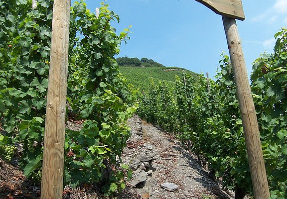 Thörnich: Ritsch-Klettersteig