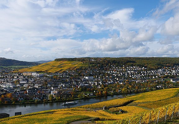 Weinberge über Bernkastel-Kues
