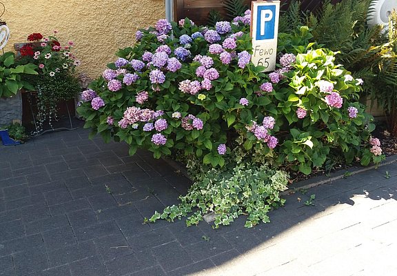 Parkplatz