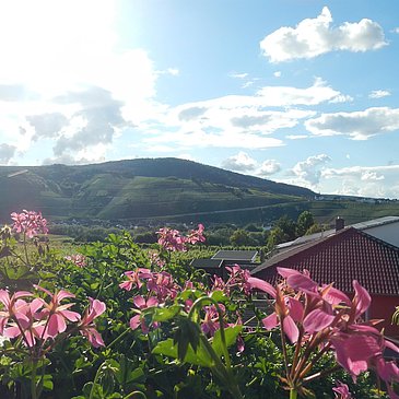 Abendaussicht Wohnraum