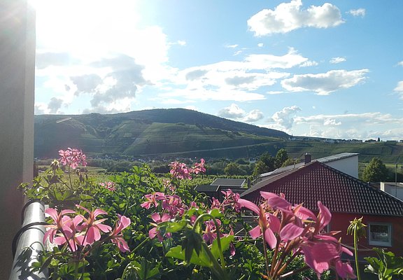 Abendaussicht Wohnraum
