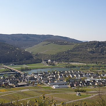 Zeltingen-Rachtig und das Kloster Machern
