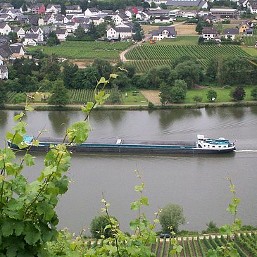 FeWo Bild Schiff auf der Mosel