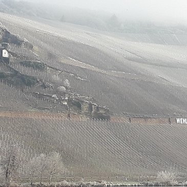 20190122_102101