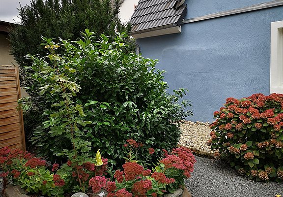 Bepflanzung