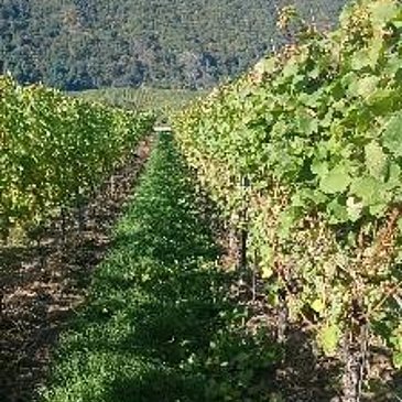 IMG-20211008-WA0000