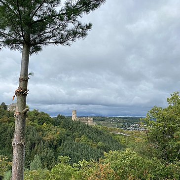 Ausblick auf die Burg Landshut vom Jodlerplatz