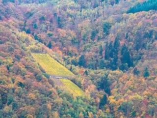 Herbstliches Ambiente im Moselurlaub