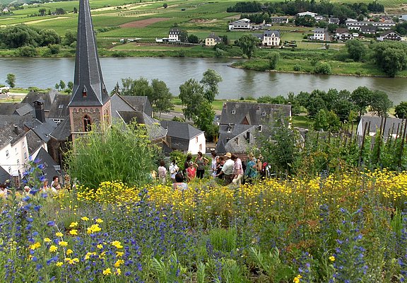 Führung durch den Gewürz & Rosengarten