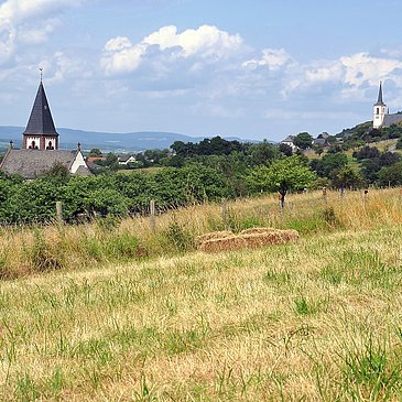 Wiesenlandschaft