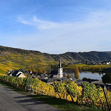 IMG_0725
