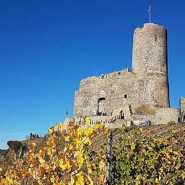 Burgruine Landshut
