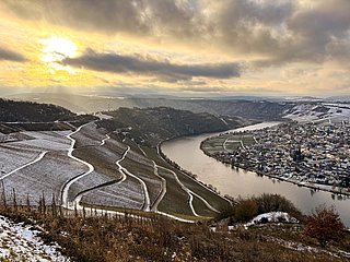 Ortschaft Piesport
