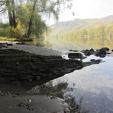 Moselstrand Brauneberg