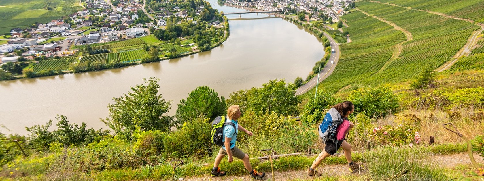 Wanderung auf dem Moselsteig von Schweich nach Mehring