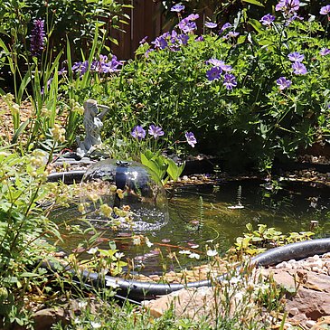 Kleiner Teich im Garten