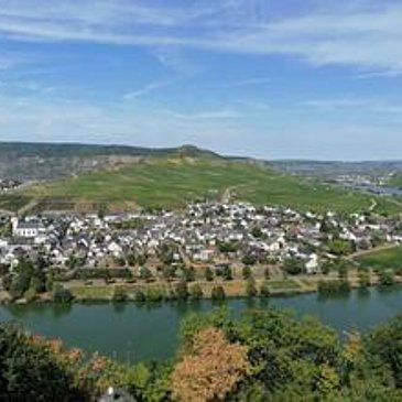 Blick vom Minheimer Kreuz