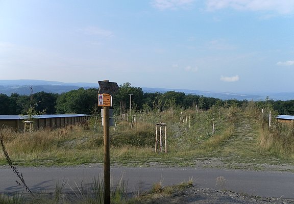 Wildbrücke über die B50neu am Graacher Schanzen