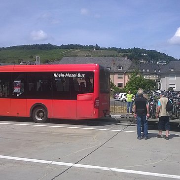 Radelbus