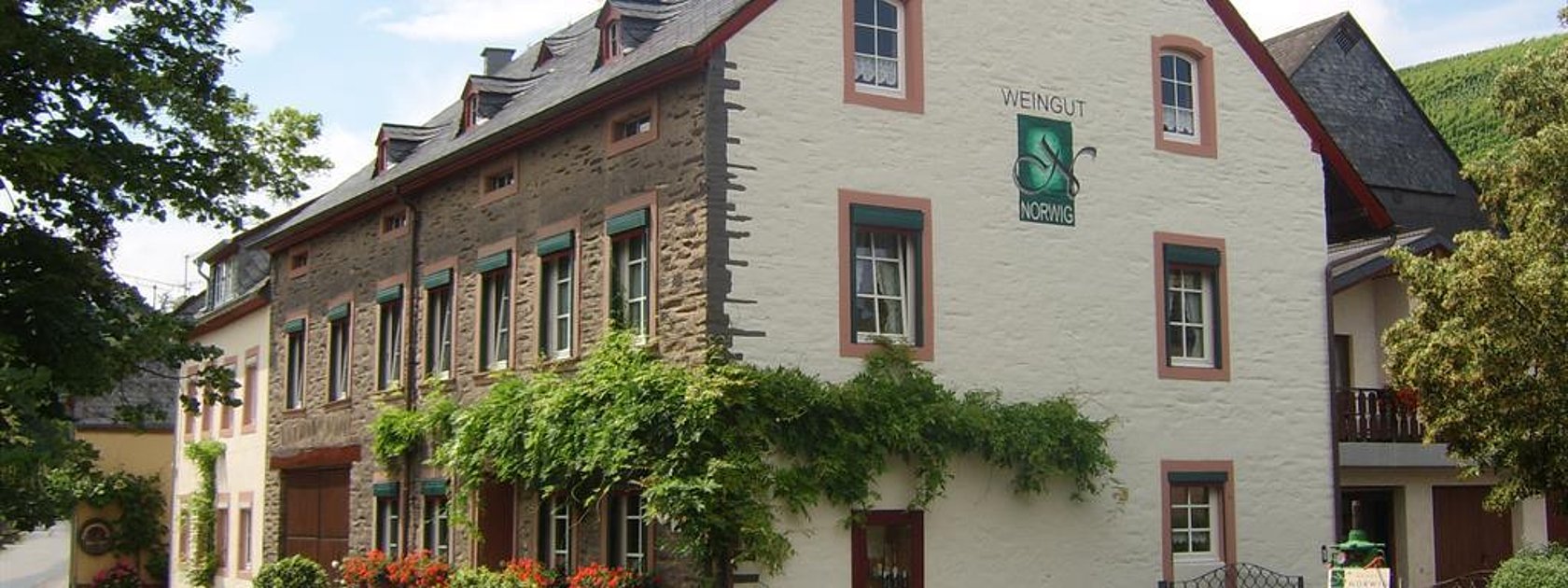Weingut mit Weinbergen im Hintergrund