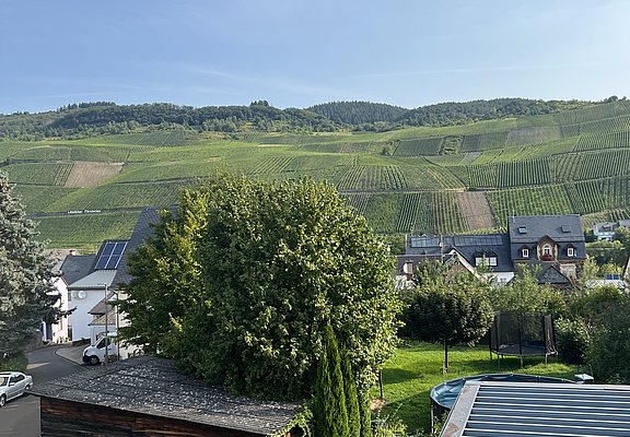 IMG_3603