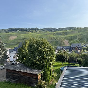 IMG_3603