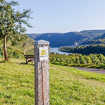 Wegemarkierung Moselsteig auf der Etappe 13 von Reil nach Zell