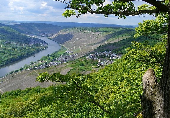 Aussicht von Maria Zill