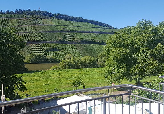 Ausblick