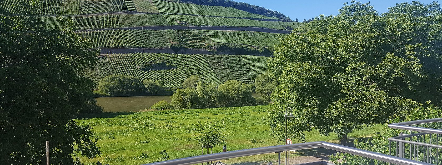 Ausblick